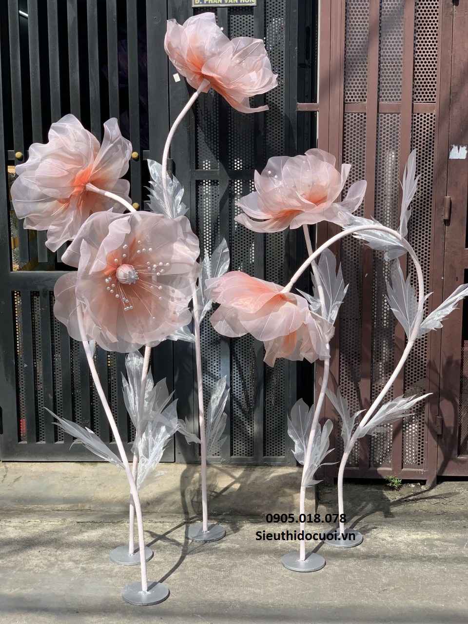 Hoa voan khổng lồ Hoa voan khổng lồ