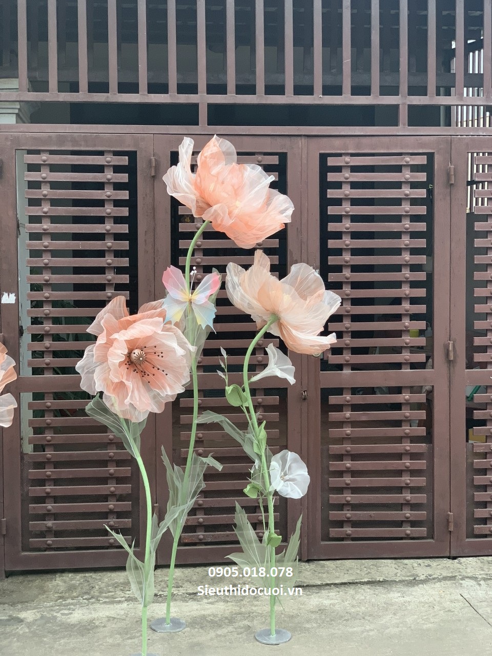 Hoa voan khổng lồ Hoa voan khổng lồ