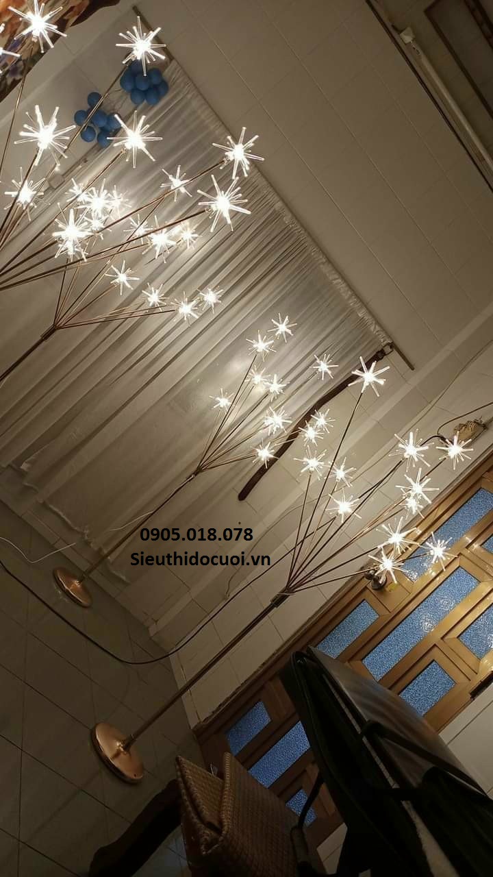 Sóng đèn dẫn lối sao biển Sóng đèn dẫn lối sao biển