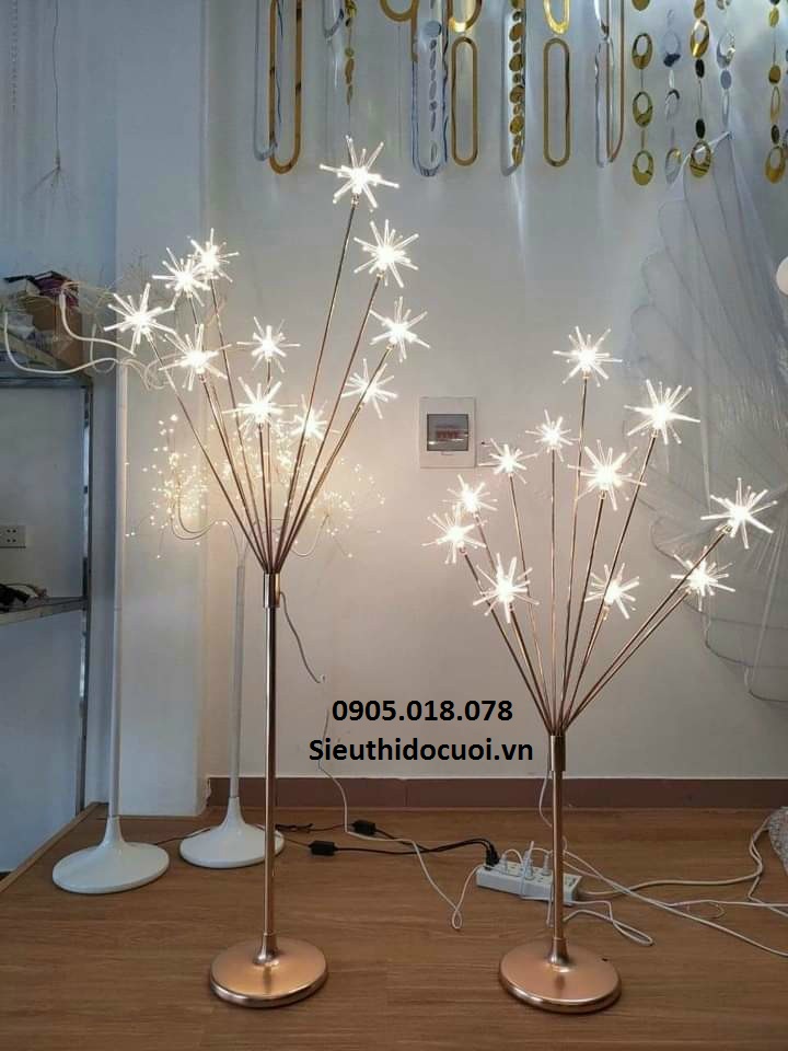 Sóng đèn dẫn lối sao biển Sóng đèn dẫn lối sao biển