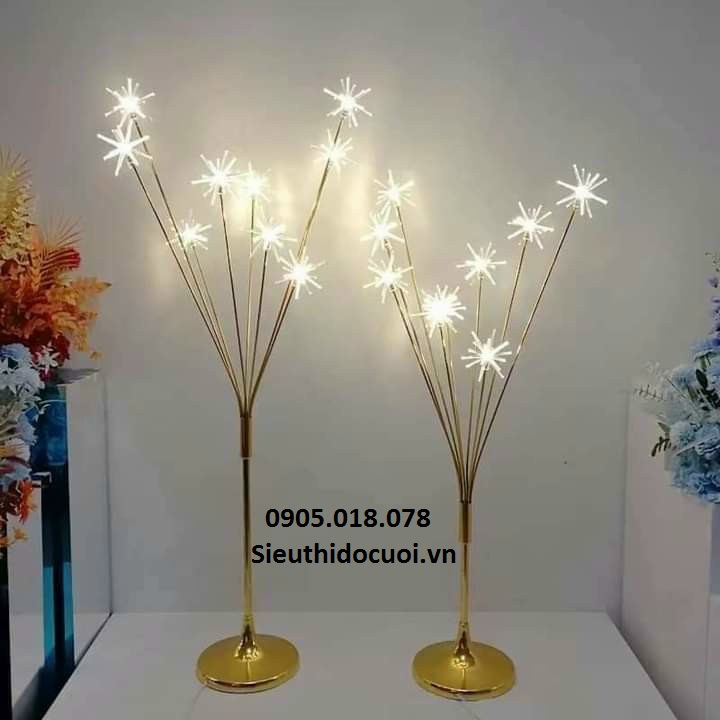 Sóng đèn dẫn lối sao biển Sóng đèn dẫn lối sao biển