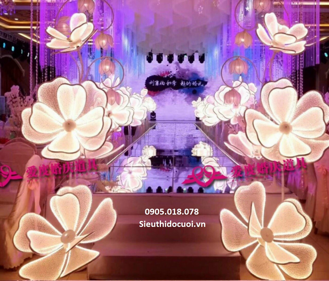 Sóng đèn hoa lan đại, dẫn lối hoa lan đại Sóng đèn hoa lan đại, dẫn lối hoa lan đại