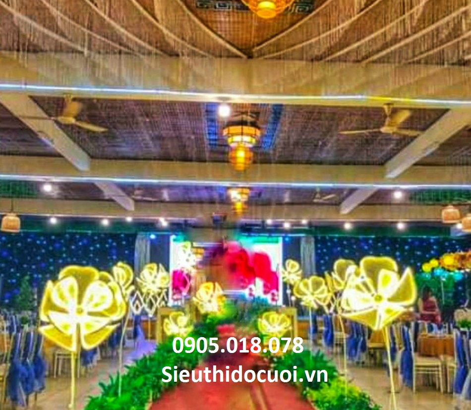 Sóng đèn hoa lan đại, dẫn lối hoa lan đại Sóng đèn hoa lan đại, dẫn lối hoa lan đại