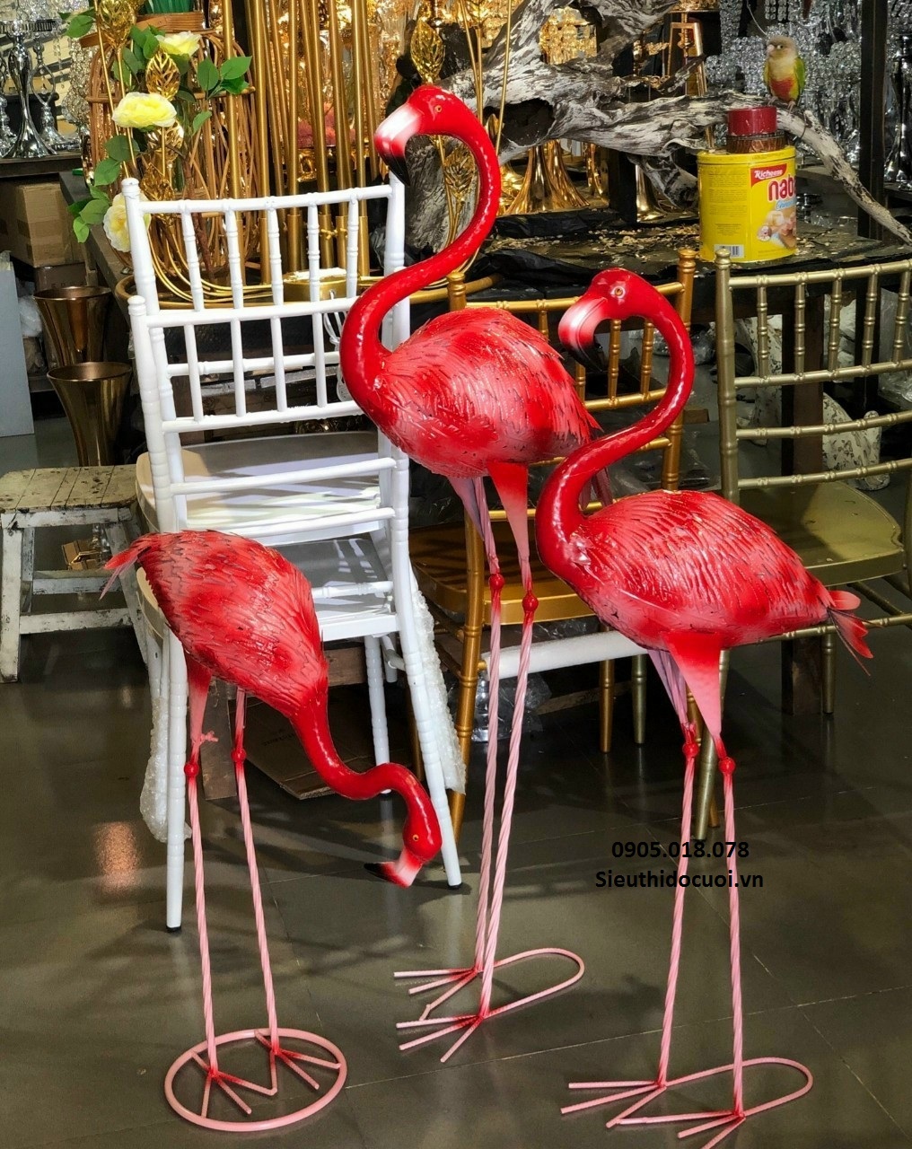 Chim hồng hạc Chim hồng hạc