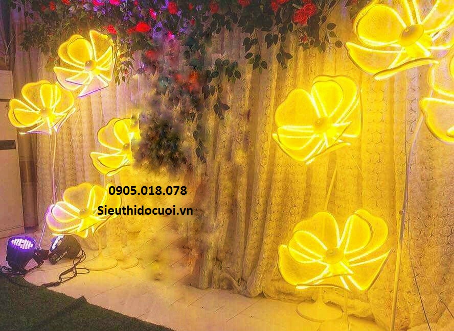 Sóng đèn hoa lan đại, dẫn lối hoa lan đại