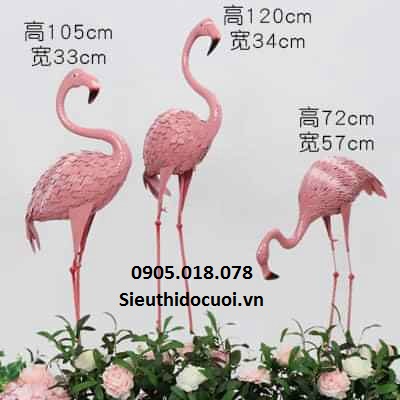 Chim hồng hạc Chim hồng hạc