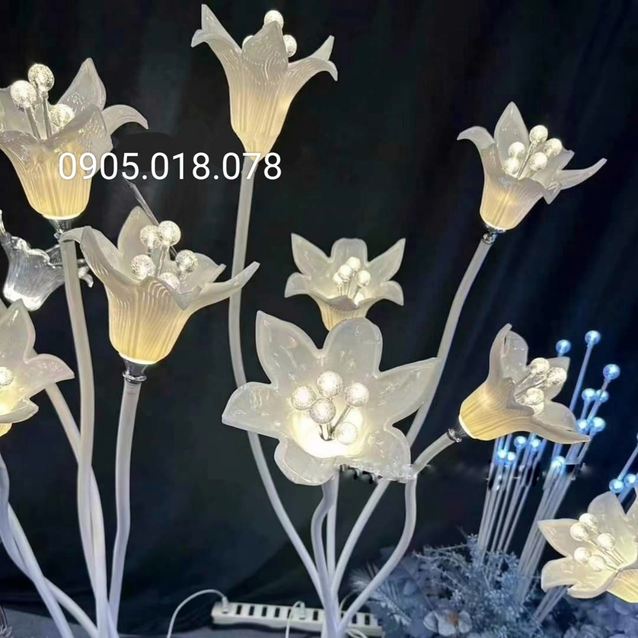 Dẫn Lối Hoa LiLy, Sóng Đèn Hoa LiLy Dẫn Lối Hoa LiLy, Sóng Đèn Hoa LiLy