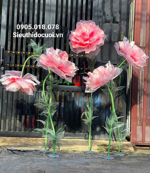 Dẫn lối sân khấu hoa voan Dẫn lối sân khấu hoa voan