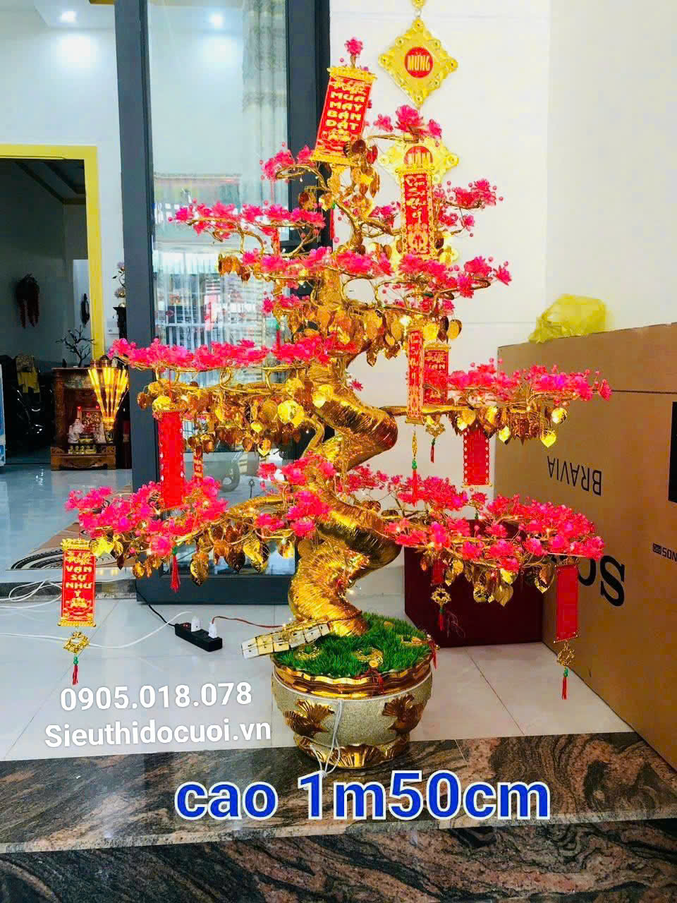 Hoa Mai Pha Lê Hoa Mai Pha Lê