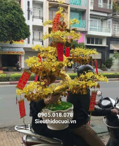 Hoa Mai Pha Lê Hoa Mai Pha Lê