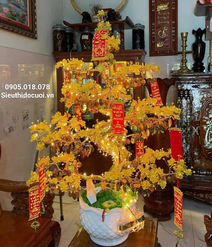 Hoa Mai Pha Lê Hoa Mai Pha Lê