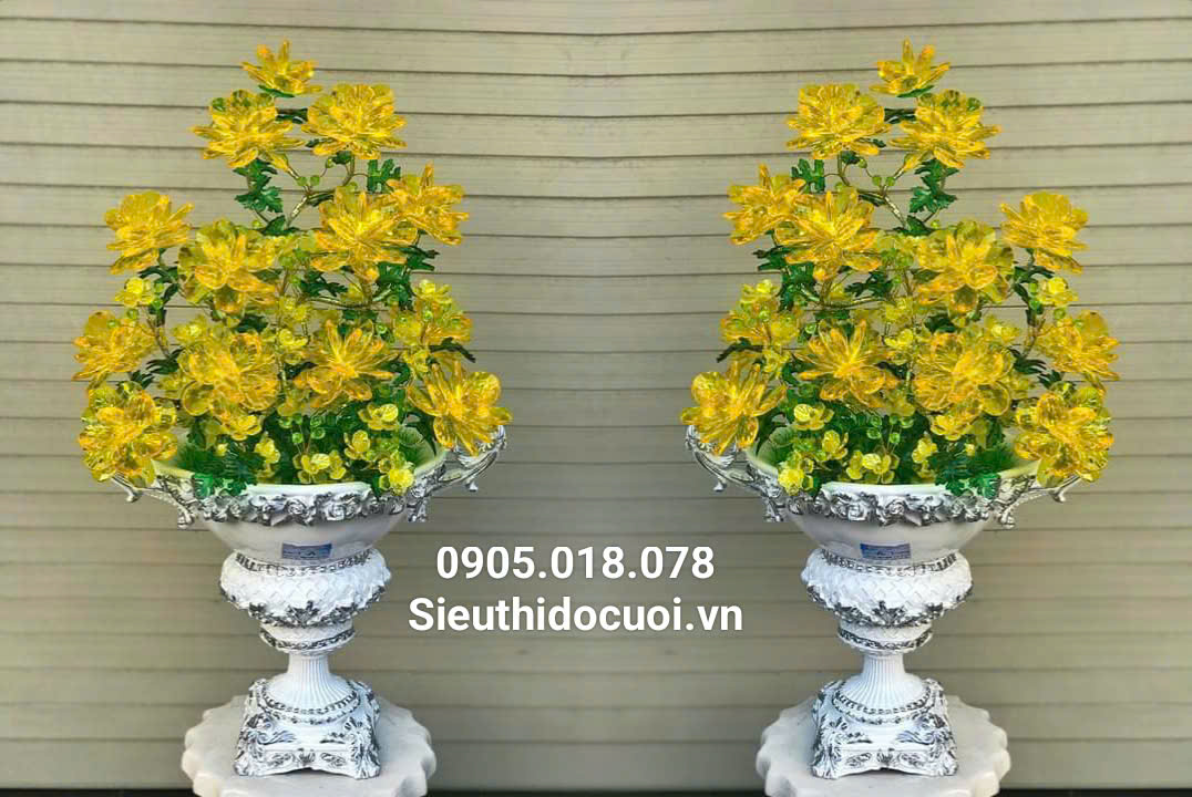 Hoa Mai Pha Lê Hoa Mai Pha Lê