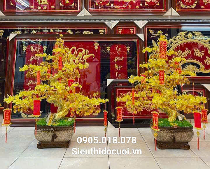 Hoa Mai Pha Lê Hoa Mai Pha Lê