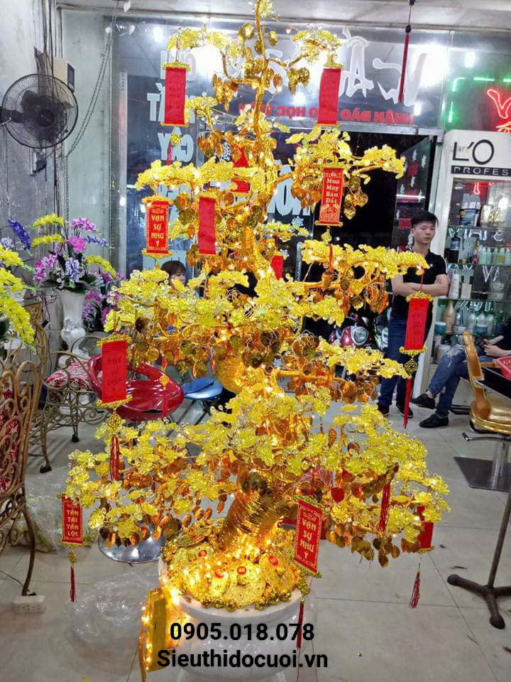 Hoa Mai Pha Lê Hoa Mai Pha Lê