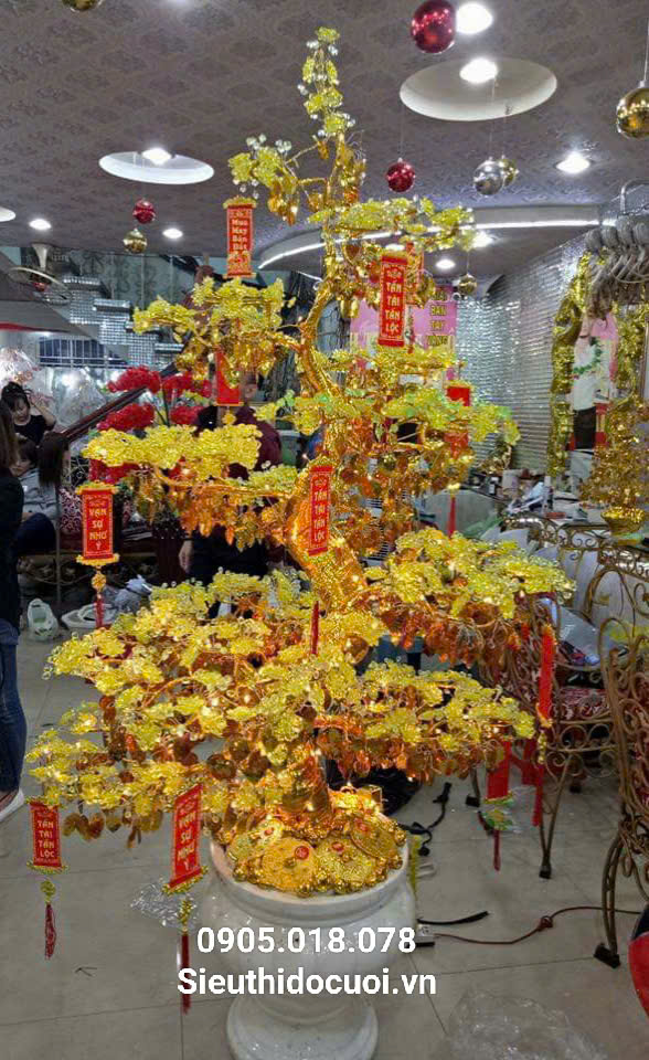 Hoa Mai Pha Lê Hoa Mai Pha Lê