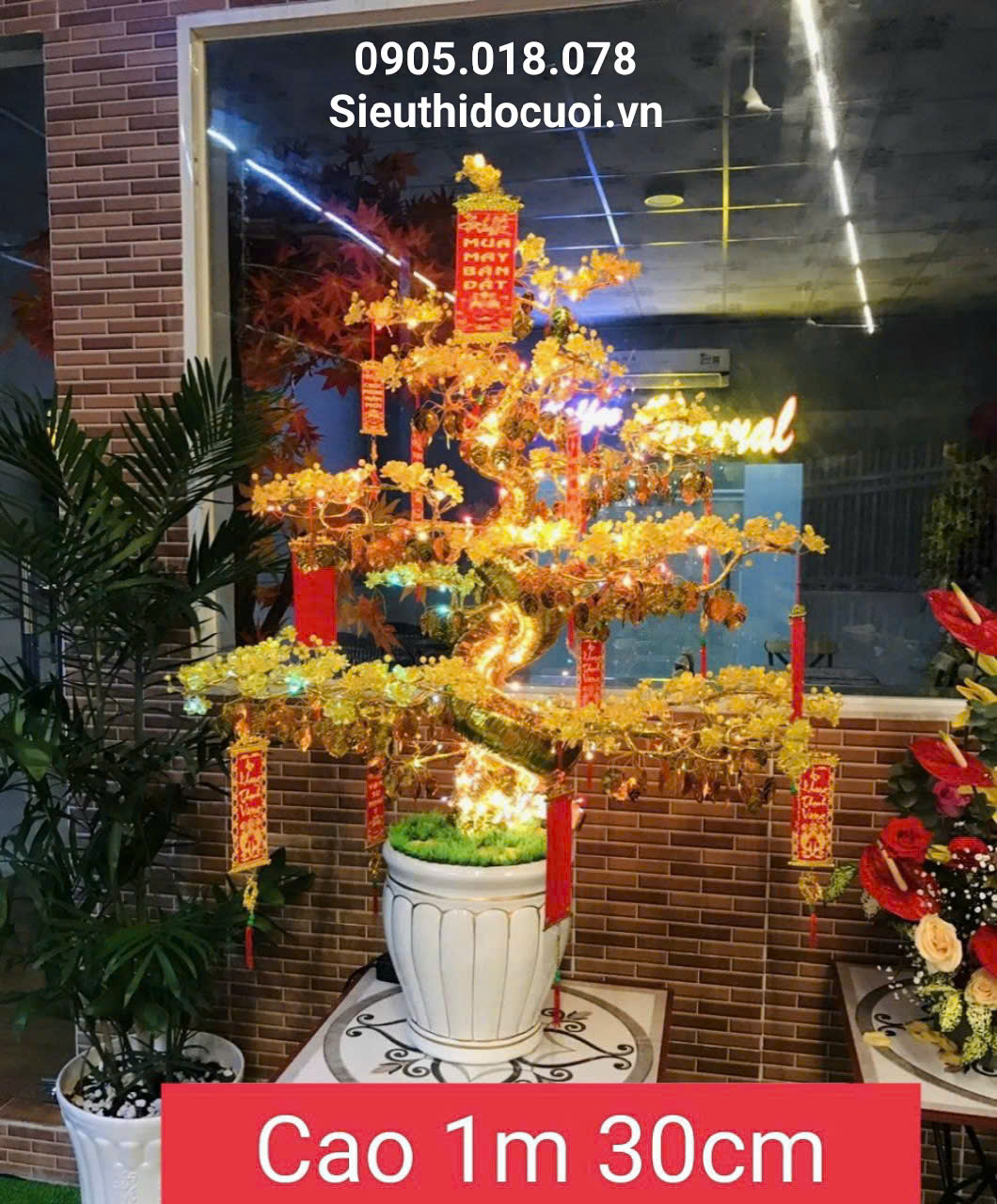 Hoa Mai Pha Lê Hoa Mai Pha Lê