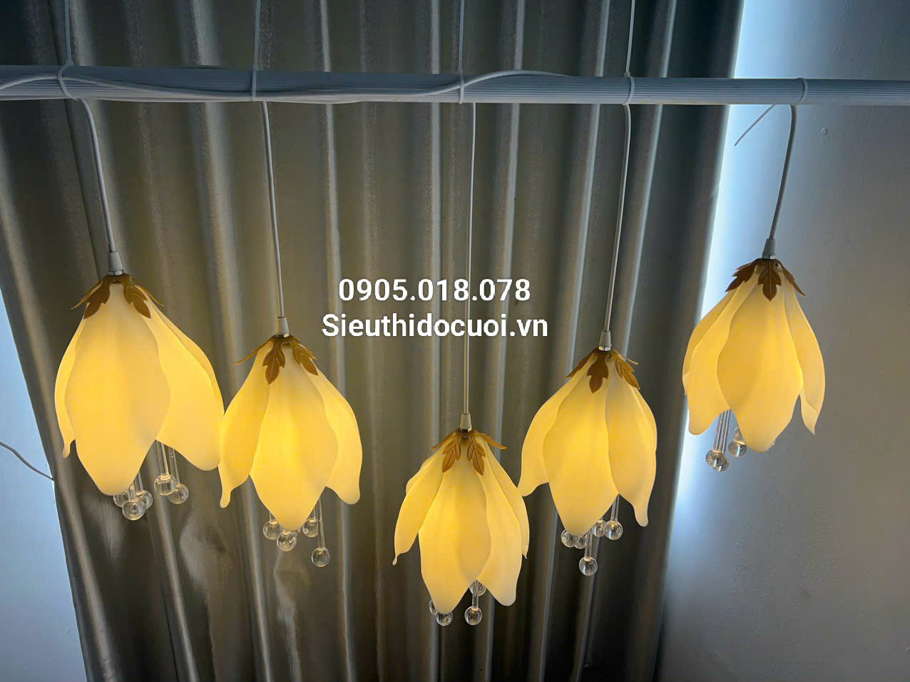 Mua đèn led đám cưới thả hoa mộc lan Mua đèn led đám cưới thả hoa mộc lan