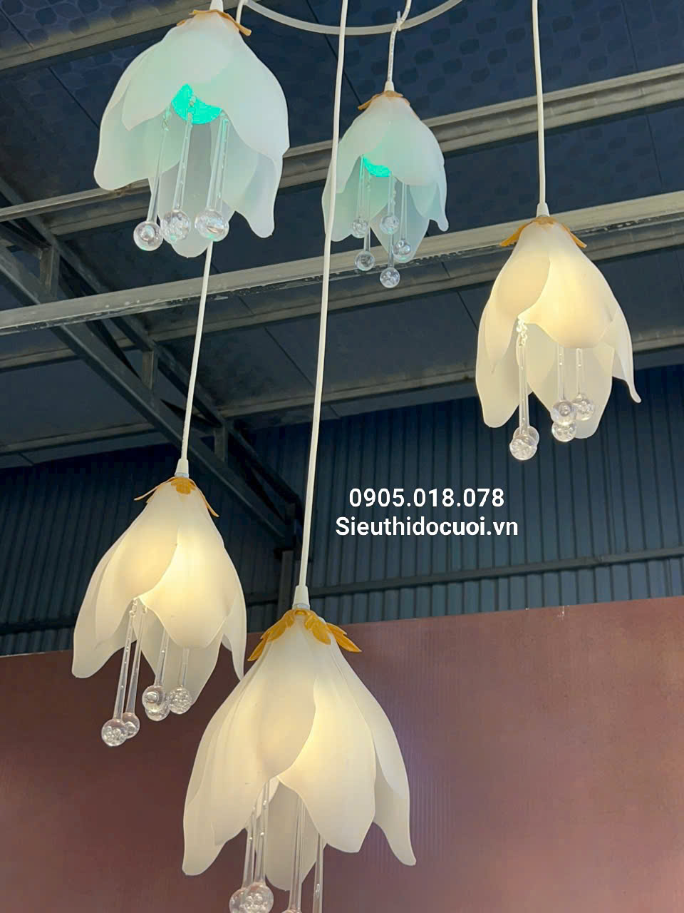 Mua đèn led đám cưới thả hoa mộc lan Mua đèn led đám cưới thả hoa mộc lan