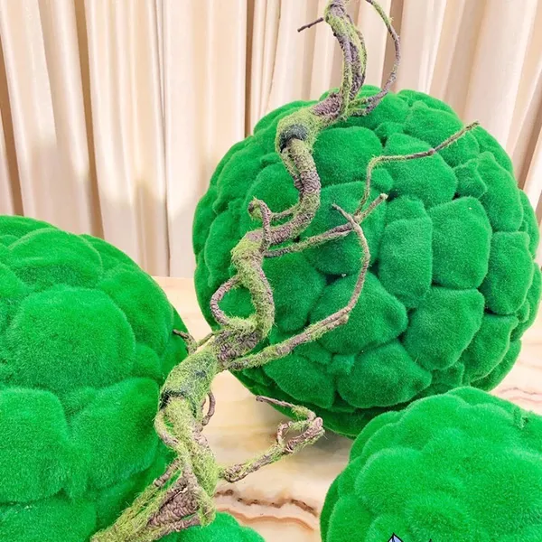 Bộ quả cầu, hươu nai nhung rêu