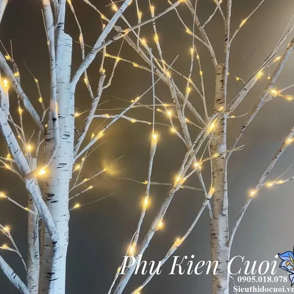 Cây Bạch Dương đèn Led