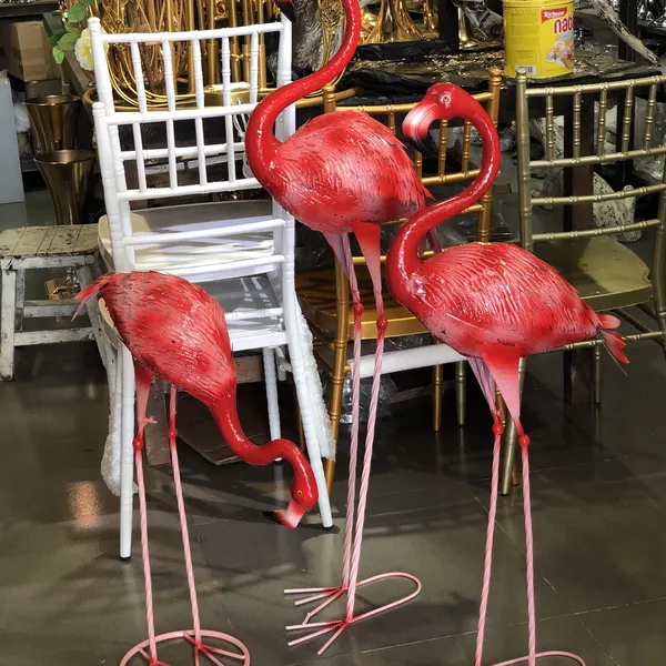 Chim Hạc trang trí, Chim Công trang trí