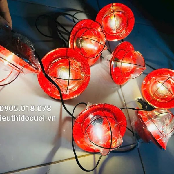 Dây đèn Led 5m, 10 bóng đèn, có đầu nối