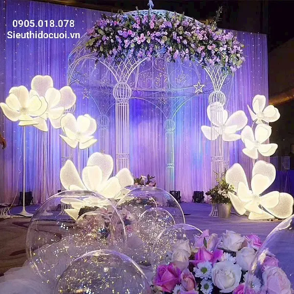 Đèn hoa lan bông lớn dẫn lối sân khấu