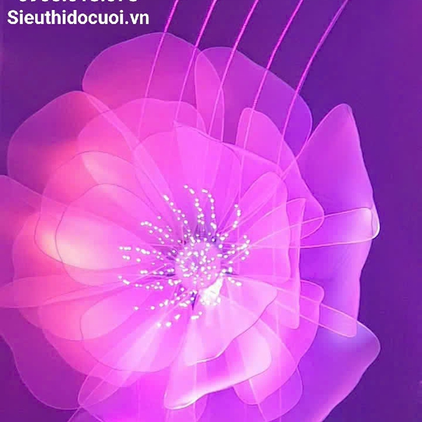 Hoa khổng lồ đường kính 4m x 4m