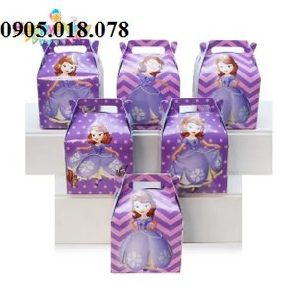 Hộp Quà Sinh Nhật Chủ Đề Công Chúa Sofia