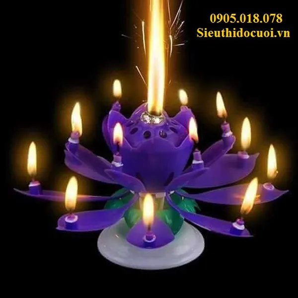 NẾN HOA SEN 3D, NẾN SINH NHẬT HOA NHẠC