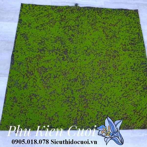 Rêu tấm trang trí