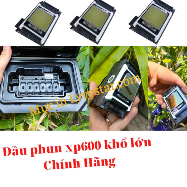 đầu phun xp600 chính hãng đầu phun xp600 chính hãng