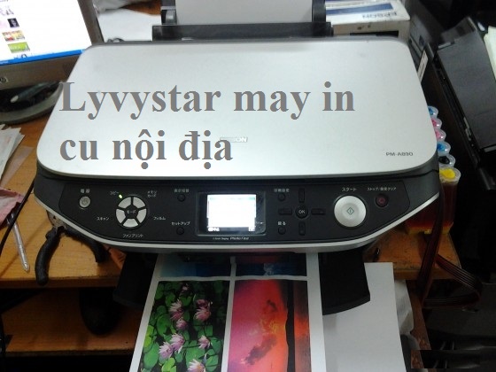 may-in-mau-epson-A890