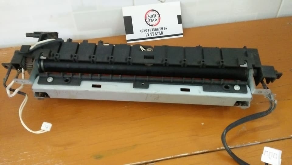 cum-say-ml1640-thao-may-nguyen-zin