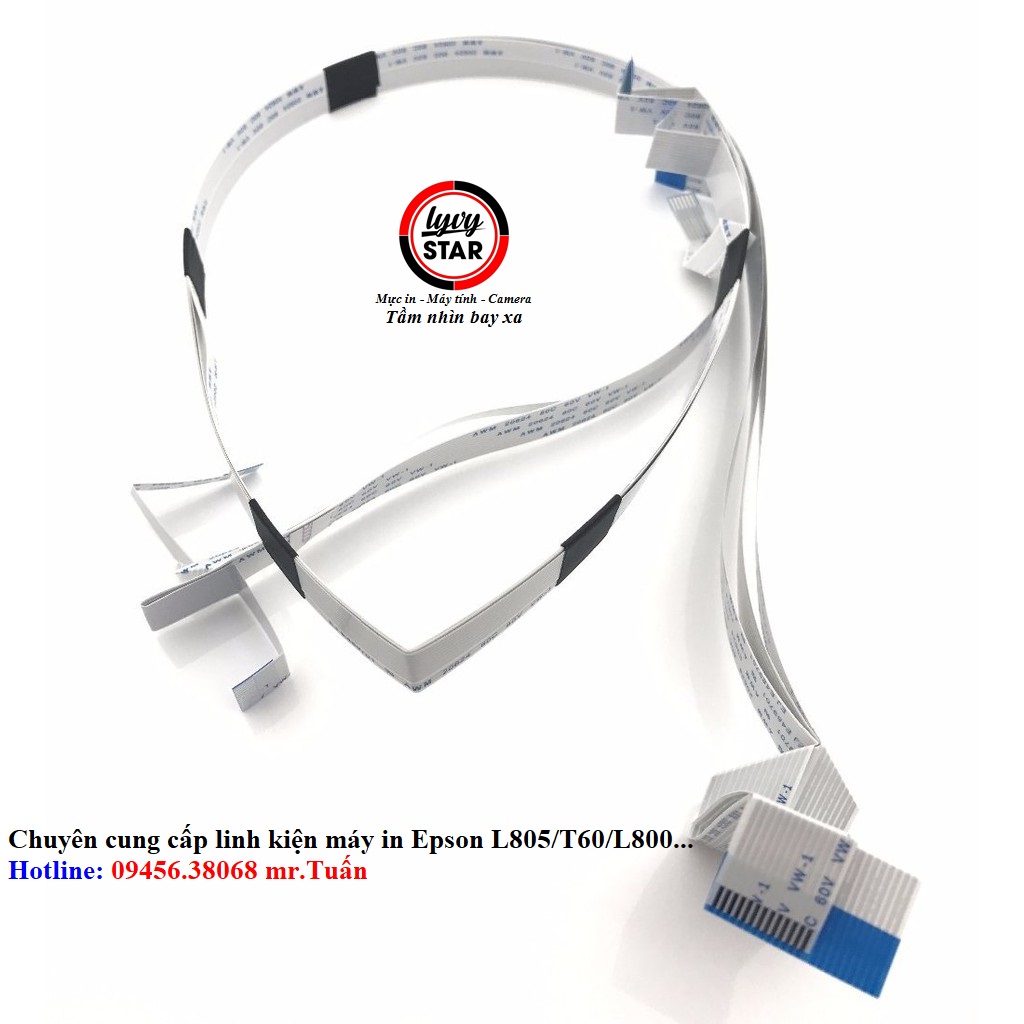 caple-dau-phun-L805-chinh-hang