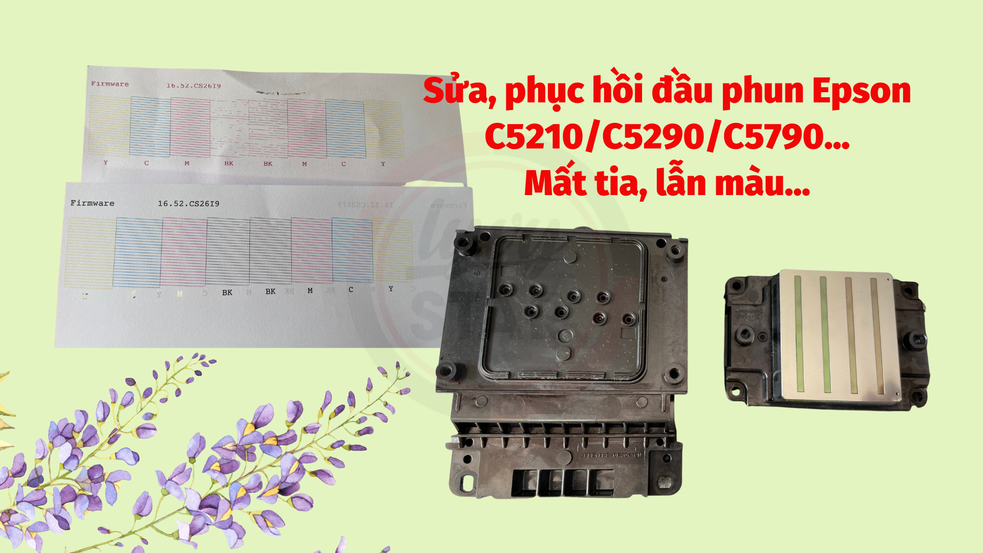 sửa chữa máy in màu Epson C5210/C5290