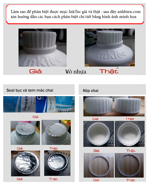 muc-inktec-chinh-hang