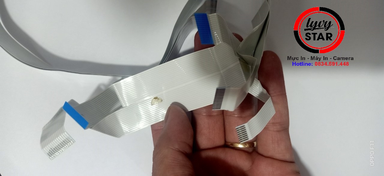 caple-dâu-phun-Epson-C5290 và -C5210