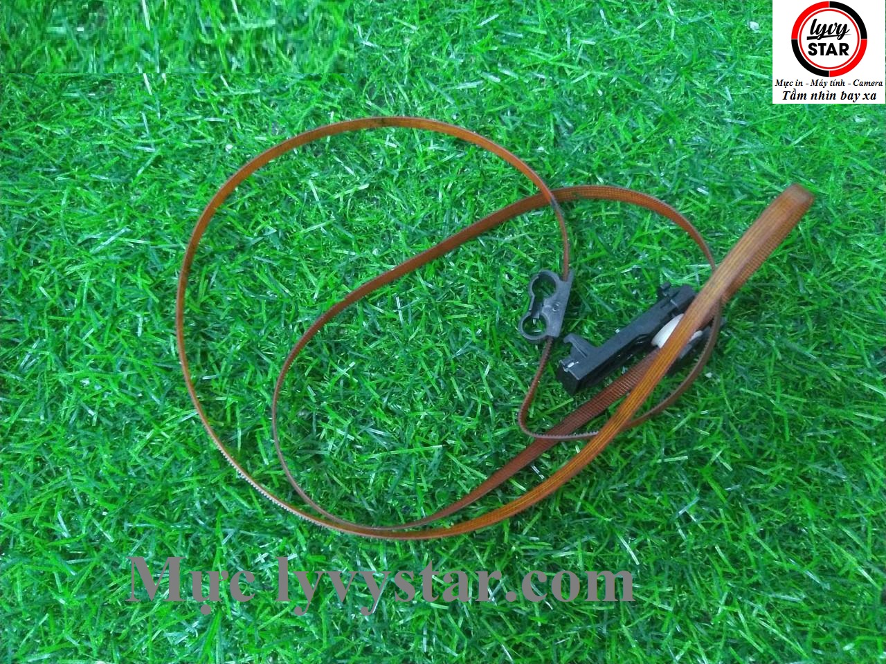 day curoa epsonc5290