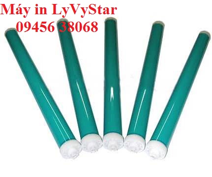 trống drum máy in canon 6030