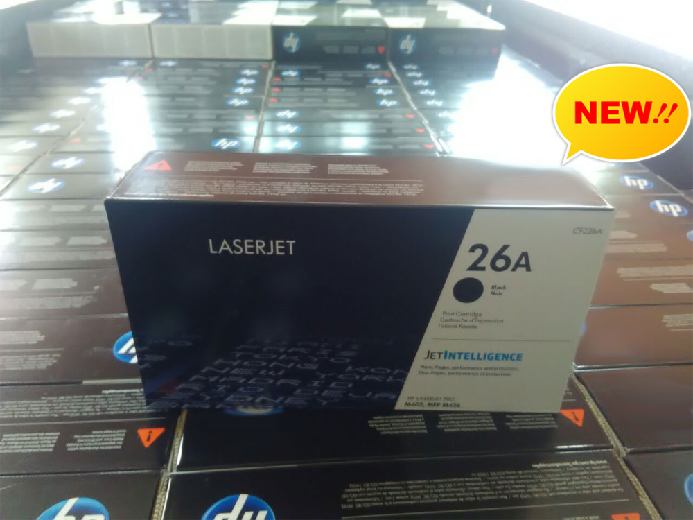 hop-muc-26a-chinh-hang-gia-si-tai-binh-duong