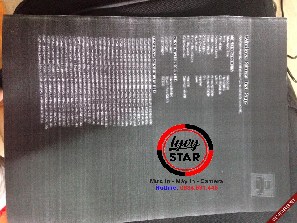 in-ra-to-giay-đen-loi-do-boar-nguon-canon-2900-hu