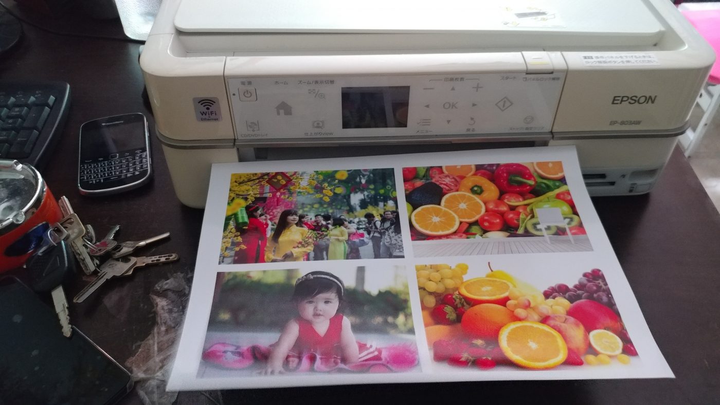 cung-cap-dau-phun-Epson-803a