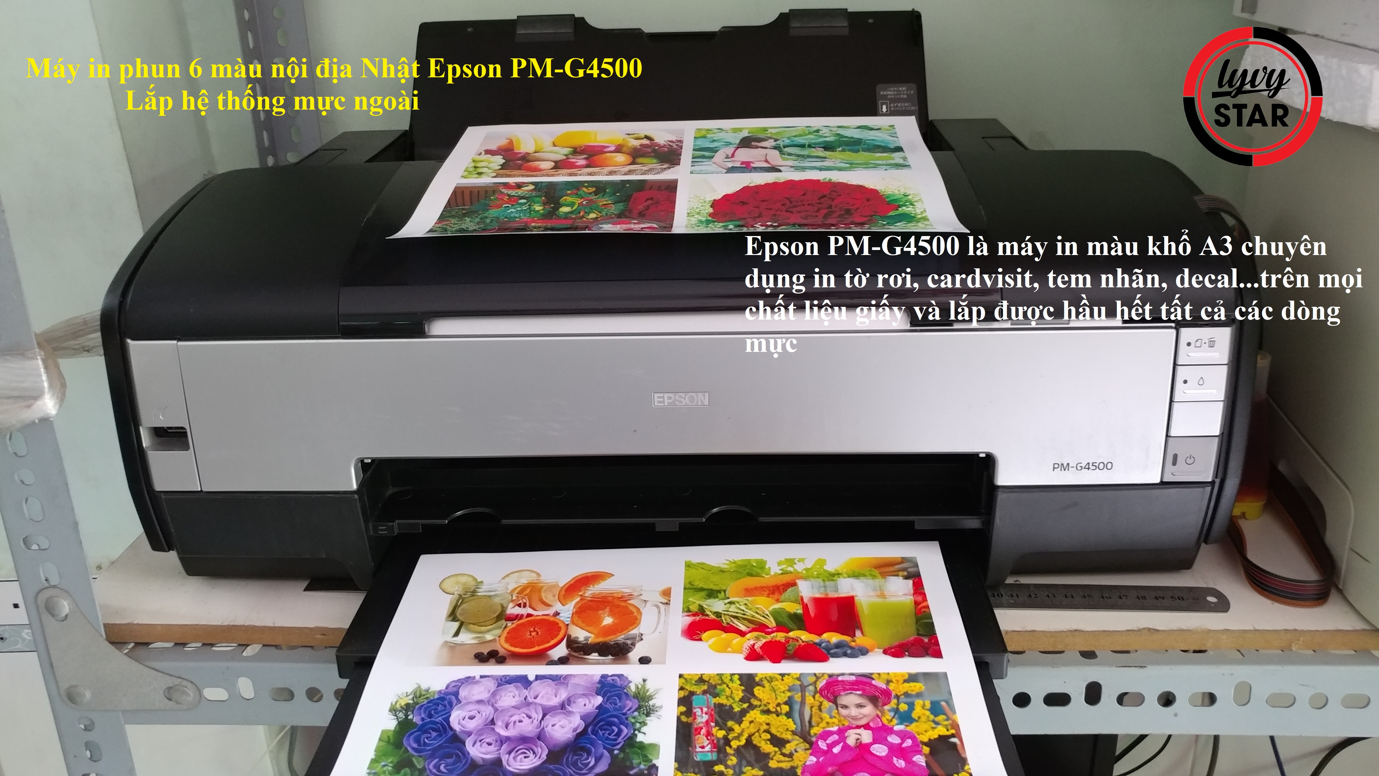 epson G4500 tại Quy nhơn