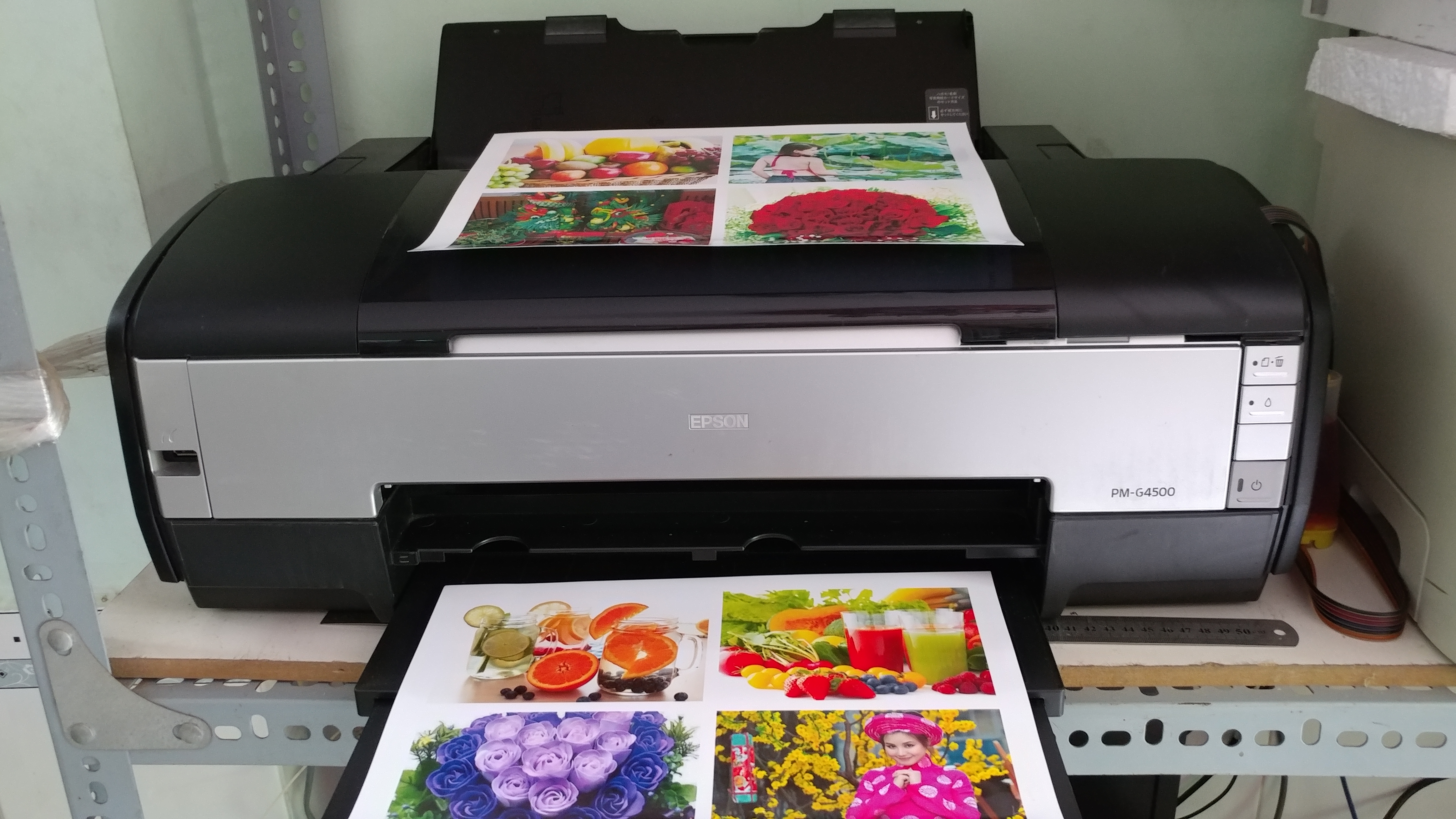 epson G4500