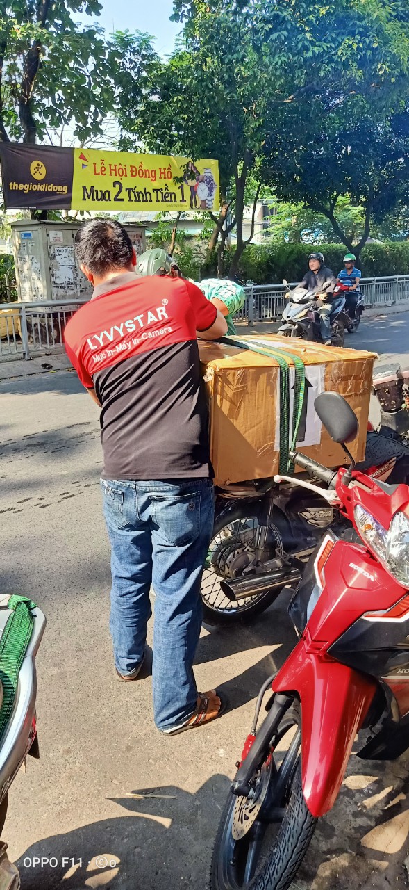 giao muc in tai quảng ngãi