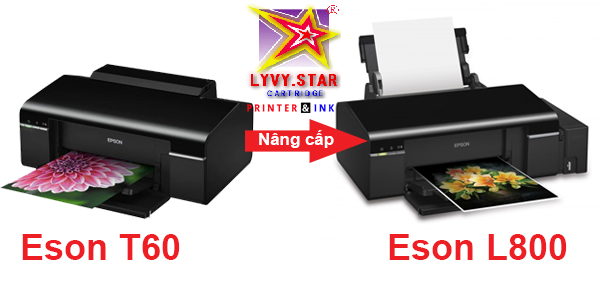 may-t60-khac-nhau-voi-l800-o-cho-nao