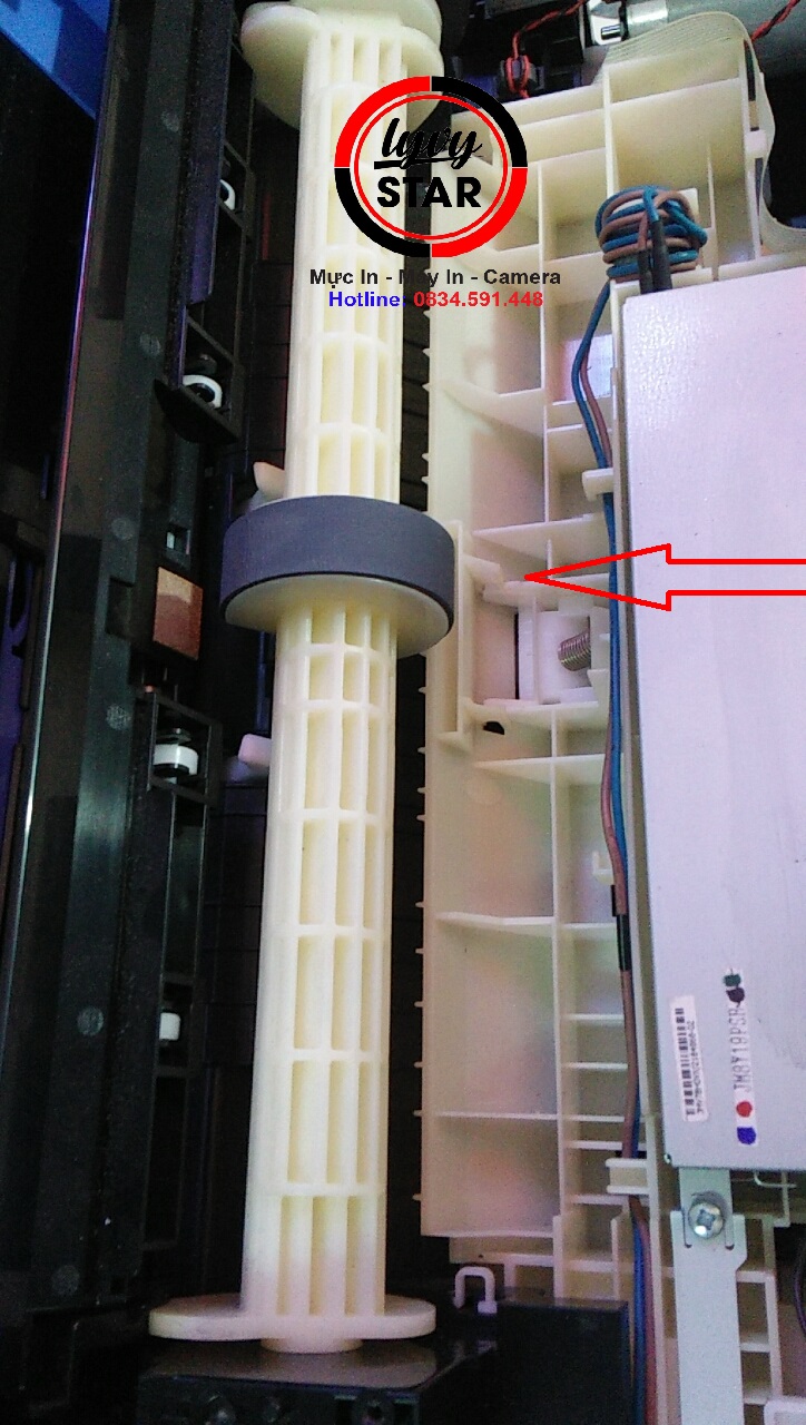 tru-dao-cuon-giay-C5290