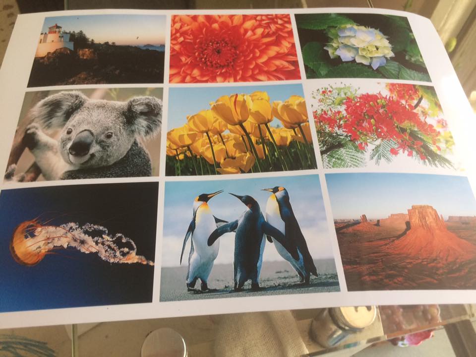 nhạn-thay-dau-phun-px1004-gia-rẻ