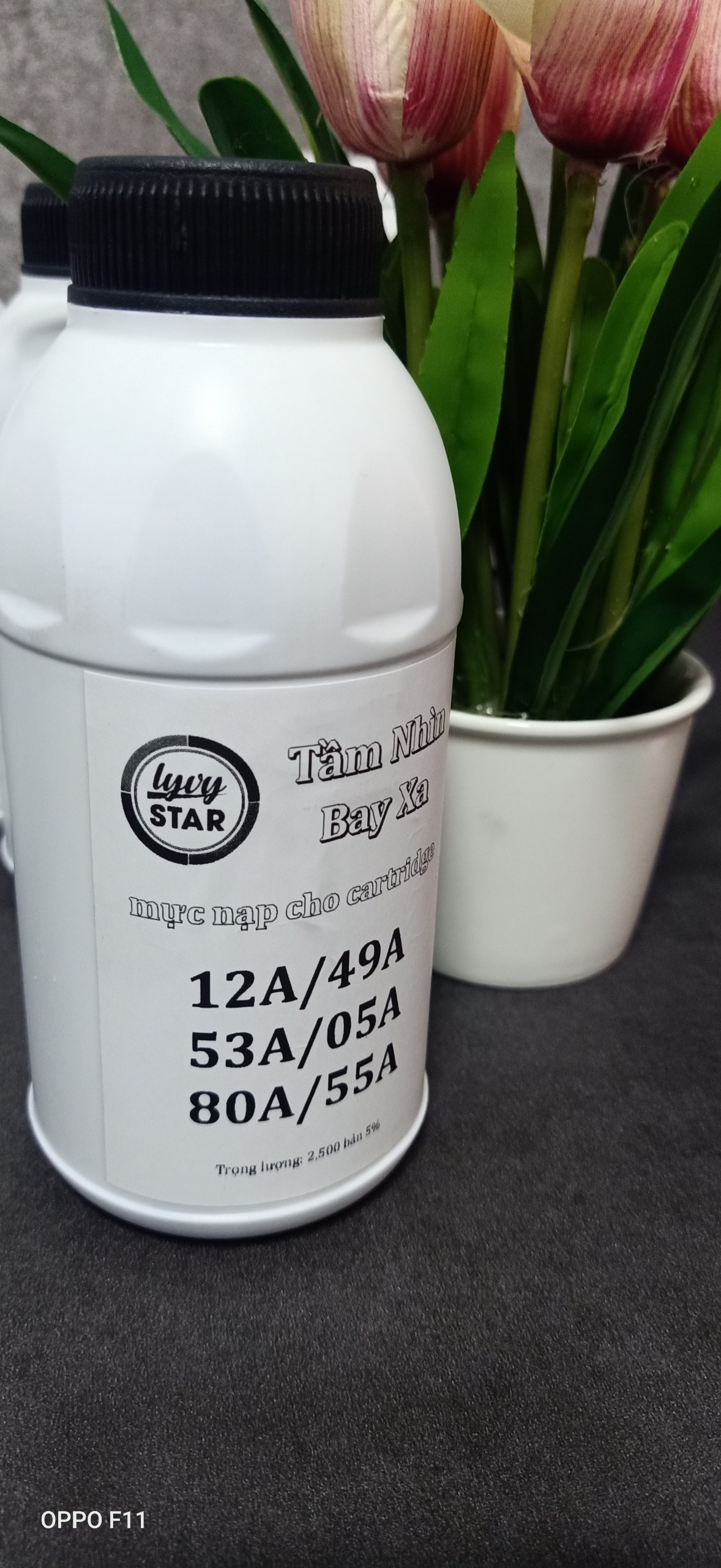 nạp mực máy in canon 2900 quy nhơn